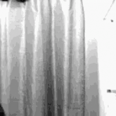 Black And White Radiator With Shower Curtain GIF