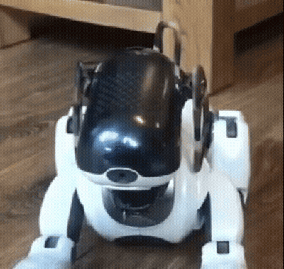 Black And White Robot Dog Sitting GIF