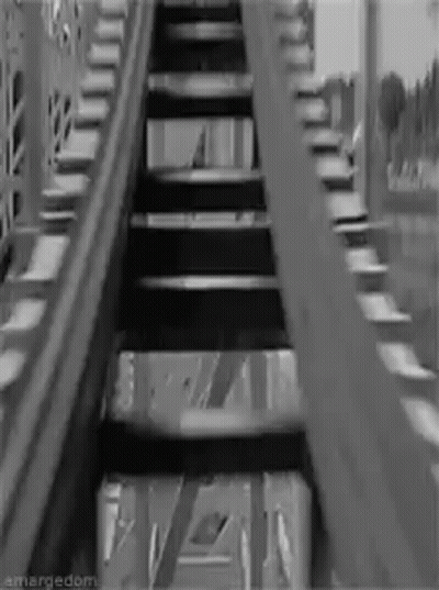 Black And White Roller Coaster GIF