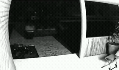 Black And White Room With Potted Plant GIF