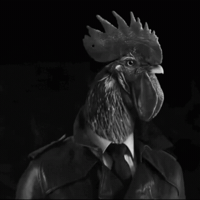 Black And White Rooster Wearing Suit GIF