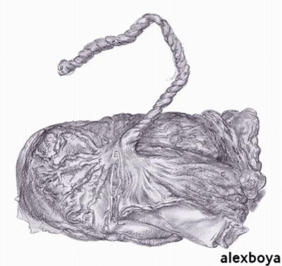 Black And White Rope Drawing With Alexboya GIF