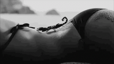 Black And White Scorpion Crawling On Woman's Back GIF