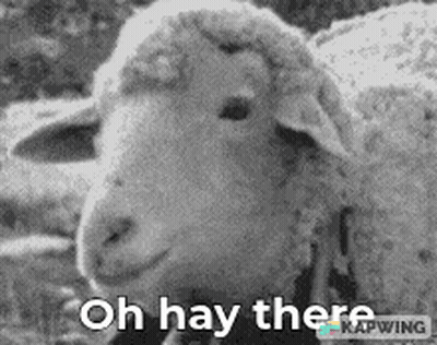 Black And White Sheep Saying Oh Hay There GIF