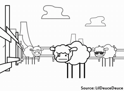Black And White Sheep Standing In Doorway GIF