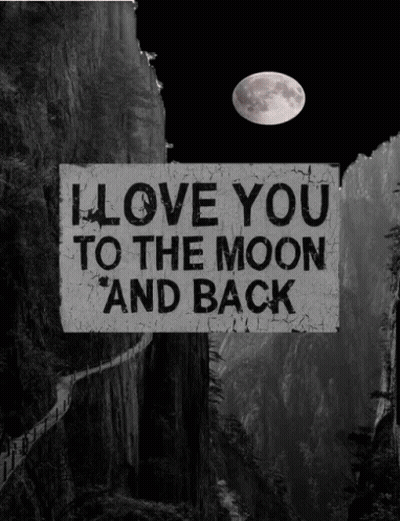 Black And White Sign I Love You To The Moon And Back GIF