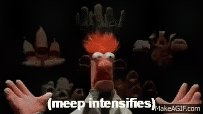 Black And White Skem Bird GIF