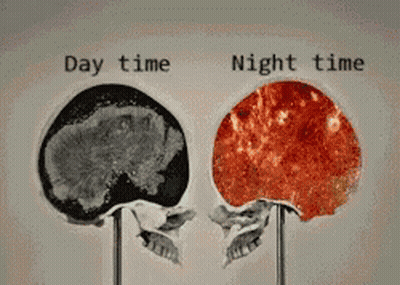 Black And White Skull Day Time Night Time GIF