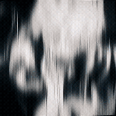 Black and White Skull With Blurred Background