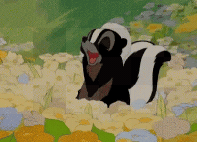 Black And White Skunk In Flower Field GIF
