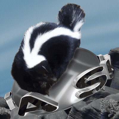 Black And White Skunk On Silver A And S GIF