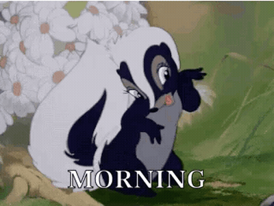 Black And White Skunk Saying What The Skunk GIF