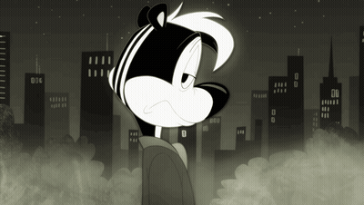 Black and White Skunk With City Background
