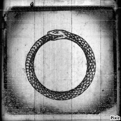 Black And White Snake In A Circle With Pixiz GIF