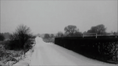 Black And White Snowy Road With Trees GIF