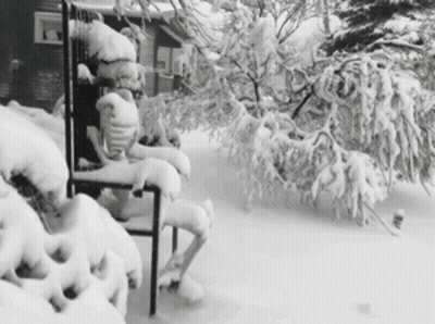 Black And White Snowy Yard GIF