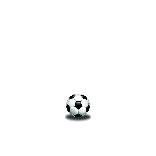 Black and White Soccer Ball Flying