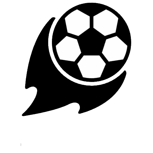 Black And White Soccer Ball Gol Sticker