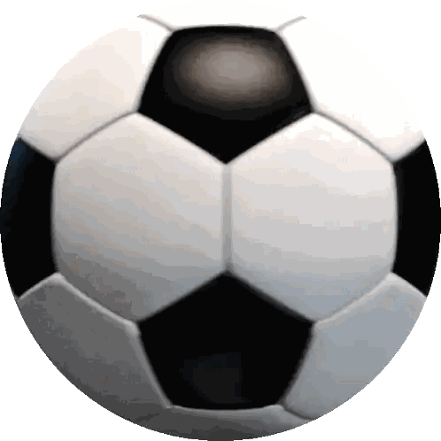 Black And White Soccer Ball With Black Center Sticker
