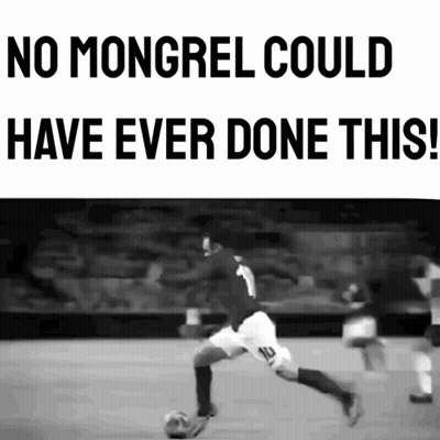 Black And White Soccer Player No Mongrel Could Have Ever Done This GIF
