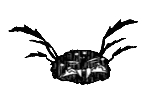 Black And White Spider Drawing Sticker