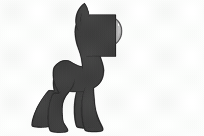Black And White Spider With Large Head GIF