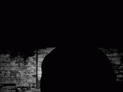 Black And White Stone Cold Steve Austin GIF