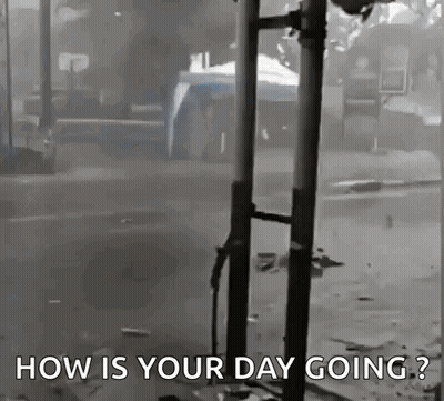 Black And White Street Scene How Is Your Day Going GIF