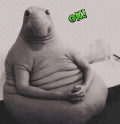 Peluche blanco y negro diciendo OK GIF
