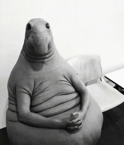 Black And White Stuffed Animal With Folded Hands GIF
