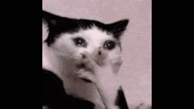 Black And White Surprised Cat Licking Nose GIF