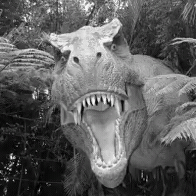 Black and White T-Rex Dinosaur With Open Mouth