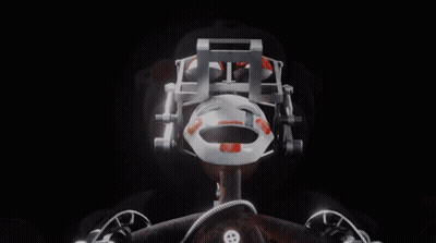 Black And White Teddy Bear With Red Top Hat GIF