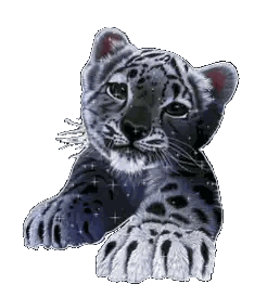 Black And White Tiger Cub Lying Down Sticker