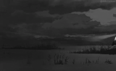 Black And White Train In Field GIF