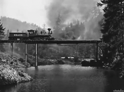 Black And White Train With Wrare On Bridge GIF