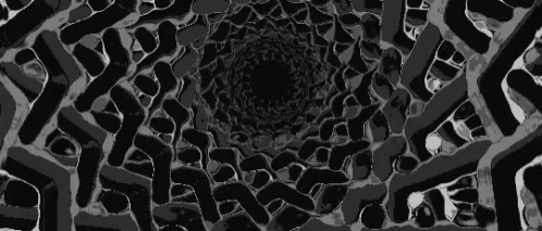 Black And White Tunnel Optical Illusion GIF