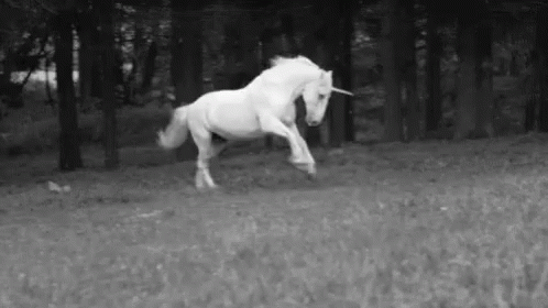 Black And White Unicorn Running GIF