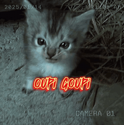 Black And White Viens La ! GIF