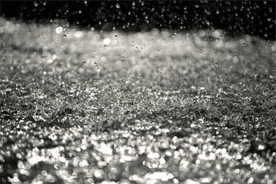 Black And White Water Drops Falling On Ground GIF