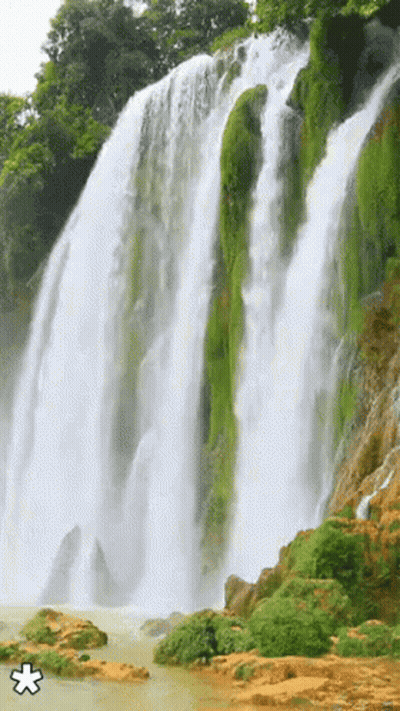 Black And White Water Swirl GIF