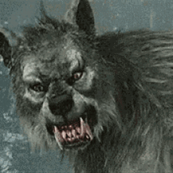 Black And White Werewolf Snarling GIF