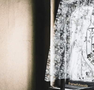 Black And White Window With Franwhiteside GIF