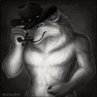 Black And White Wolf Wearing Hat GIF