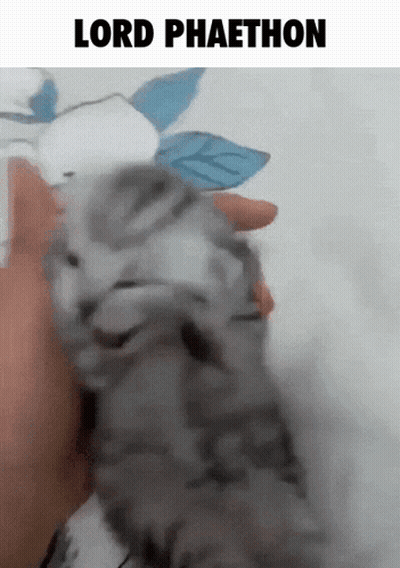 Black And White Woman Covering Face Saying Let Me Cover My Ears GIF