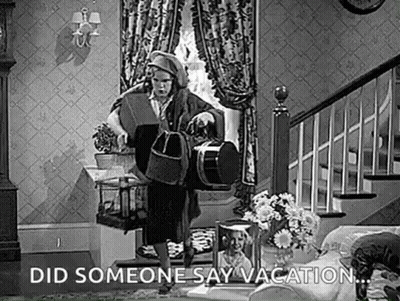 Black And White Woman Holding Bag And Dog GIF