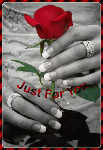 Black And White Woman Holding Red Rose With Just For You GIF