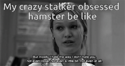 Black And White Woman My Crazy Stalker Obsessed Hamster Be Like GIF