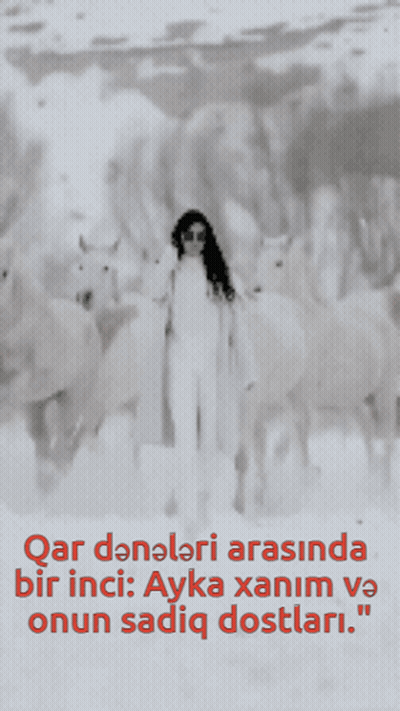 Black And White Woman Standing In Snow Next To Horse GIF