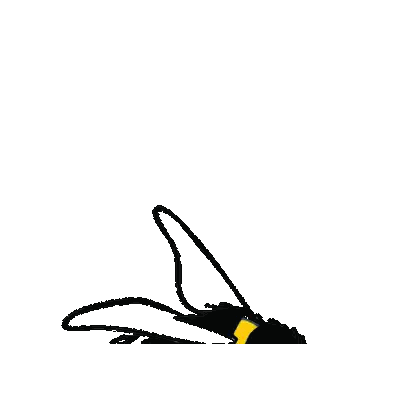 Black And Yellow Bee With White Circle Sticker